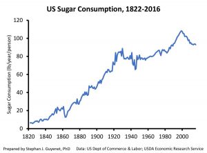Sugar Consumption in the United States 1822 - 2016