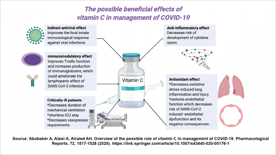 Vitamin C An Overview Metabolism, Toxicity, Deficiency, Involvement